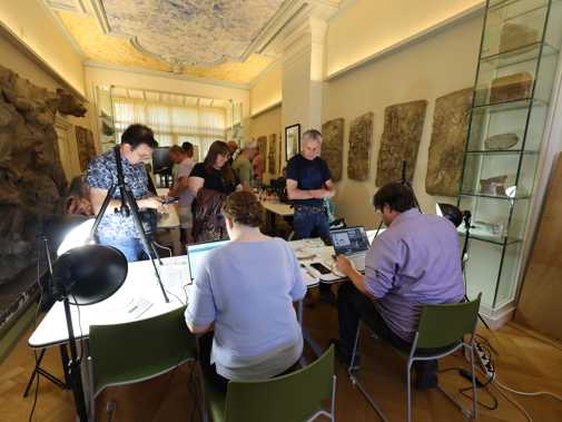Taxatie van vondsten tijdens het PAN-event 2025 (Foto: Willem de Jeu)