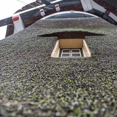 Foto: Floris Scheplitz / Erfgoedhuis Zuid-Holland