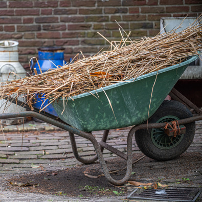 Kruiwagen met stroop een boerenerf, melkbussen op de achtergrond
