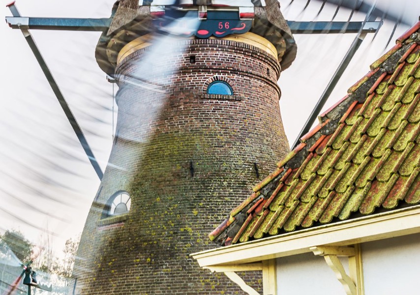 Stadmolen met wit molenaarshuisje op de voorgrond