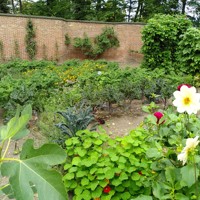 De moestuin van de buitenplaats Berbice