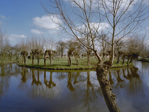 Ronde Schans of Koeneschans