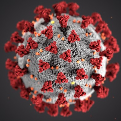 Corona-virus