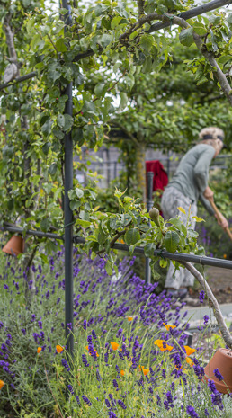 Ockenburgh (Foto: Floris Scheplitz / Erfgoedhuis Zuid-Holland)