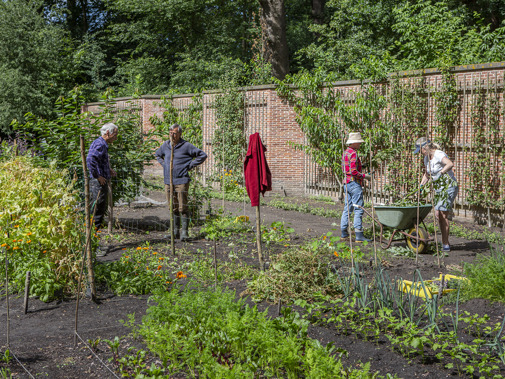 Vrijwilligers in de moestuin