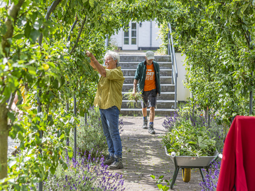 Vrijwilligers in de moestuin van Villa Ockenburg in Den Haag (Foto: Floris Scheplitz / Erfgoedhuis Zuid-Holland)